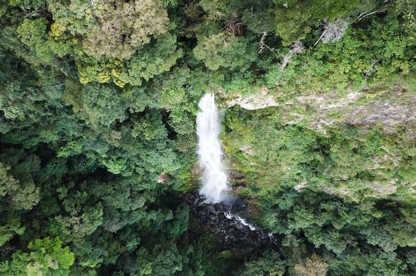 Ruta privada de senderismo por La Ceiba