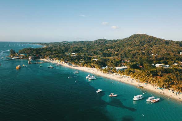 Paseo en catamarán de lujo por Roatán