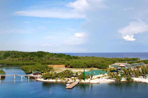 Roatan Hop on Hop Off Bus Tour