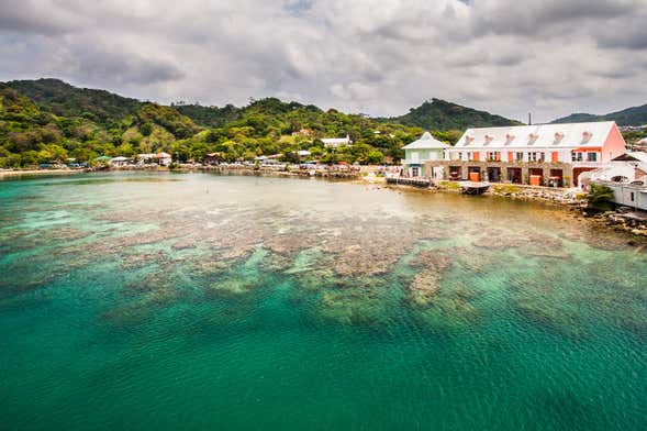 Tour privado por Roatán