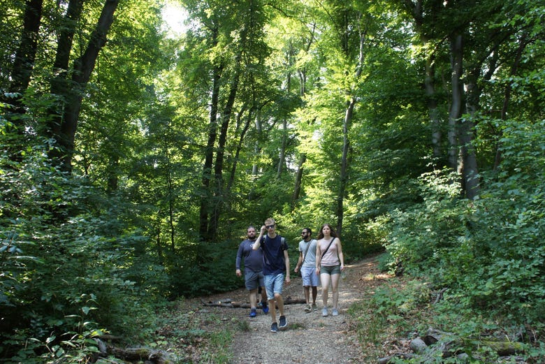 Take a moment to connect with nature while in Budapest