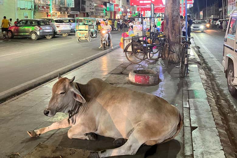 Un escena típica en Agra