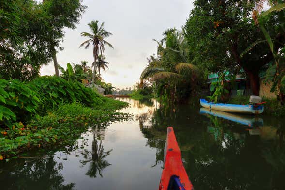 Tour por los canales de Alleppey