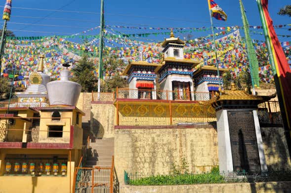 Tour de la cultura budista por Dharamshala