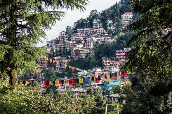 McLeod Ganj Guided Tour