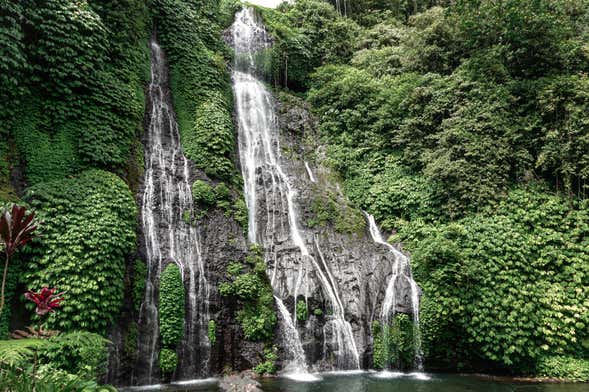 Torrentismo a Bali