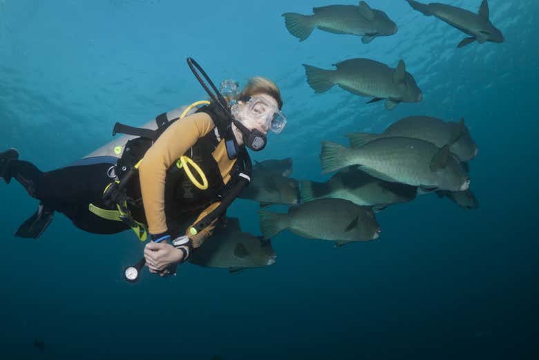 Scuba Diving In Bali - Disfruta Bali