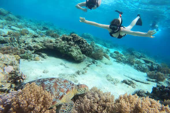 Snorkel en Gili Meno