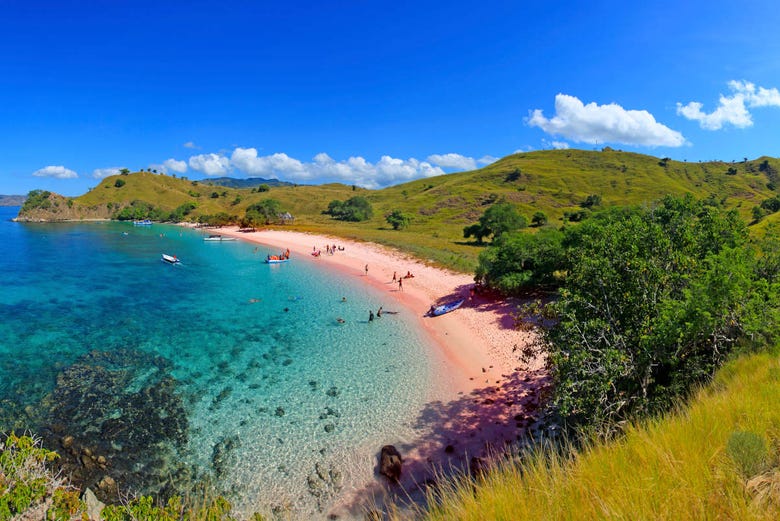 Pink Beach on Komodo Island