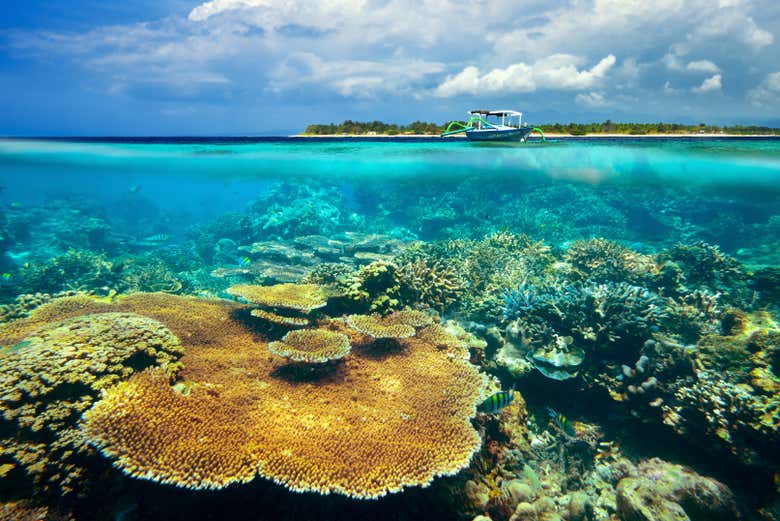 Coral reefs in the Gili Islands