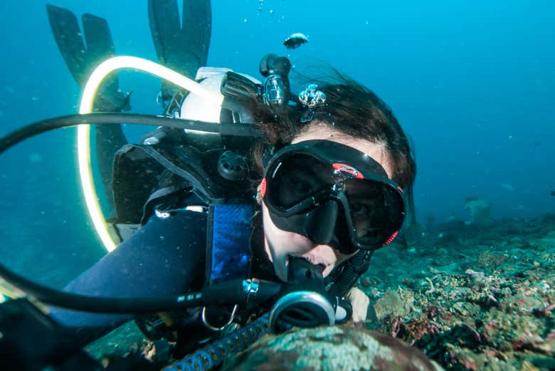 Discover Scuba Dive in Lombok - Book Online at Civitatis.com