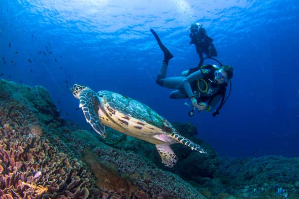 Cours PADI Discover Scuba Diving