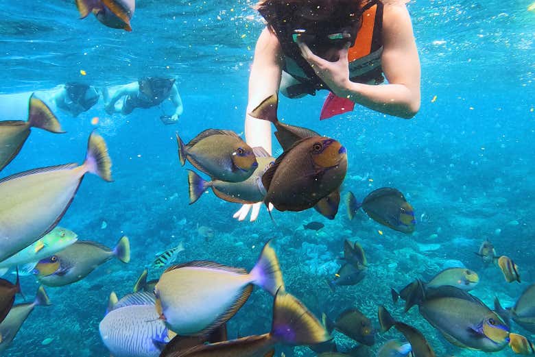 Dive into an underwater world in Indonesia