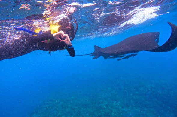 Snorkeling in Nusa Lembongan