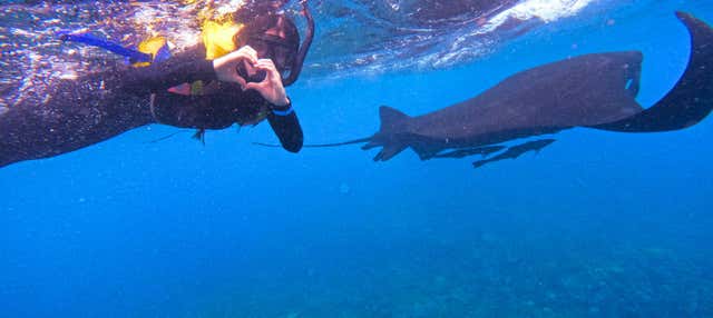 Snorkeling in Nusa Lembongan - Book Online at Civitatis.com