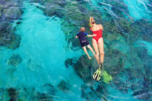 Nusa Penida Snorkel Experience