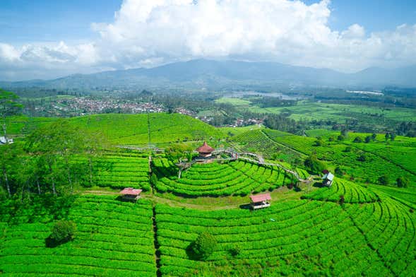 Tangkuban Perahu Private Tour