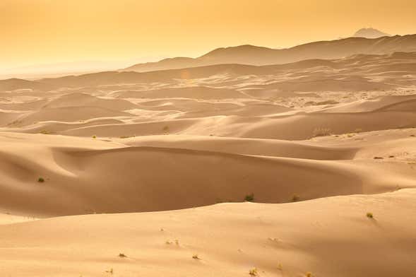 Varzaneh Desert Private Tour