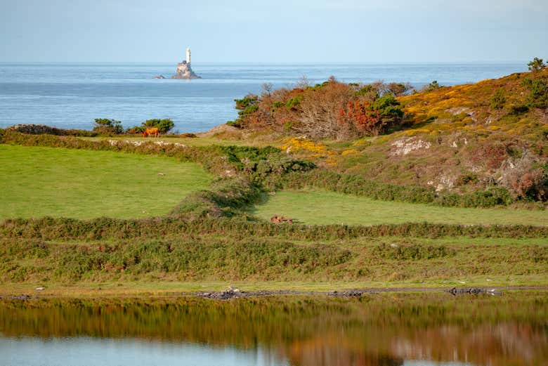 Discovering Cape Clear Island