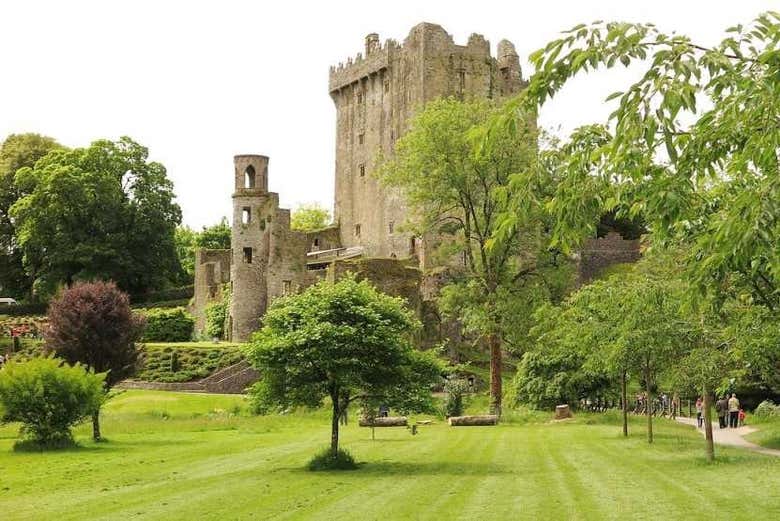 Enjoy a guided tour of Blarney Castle