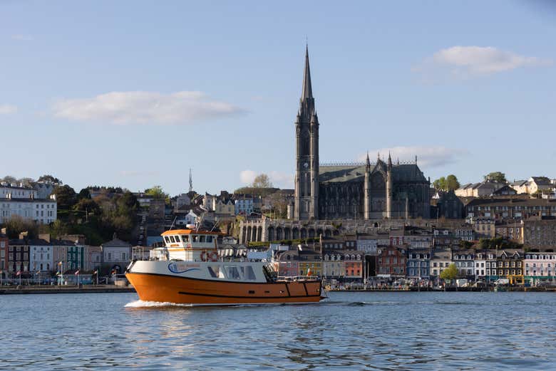 Disfrutaremos de los mejores paisajes de la bahía de Cork