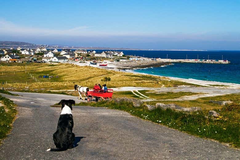 Excursion à Inisheer