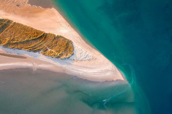 Bull Island Tour