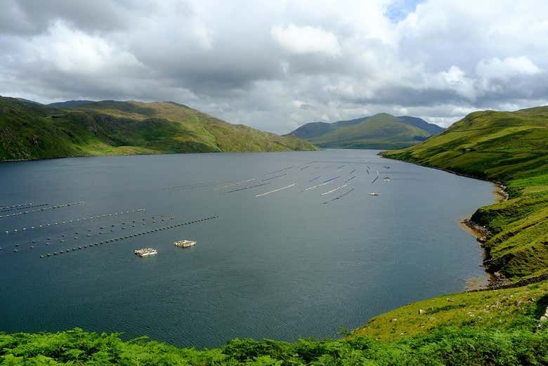 Bird's eye view of Killary Fjord