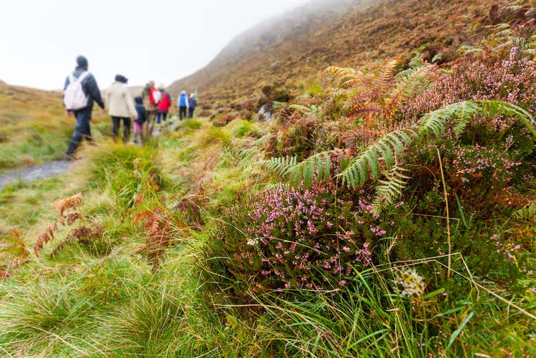 Trilha por Connemara