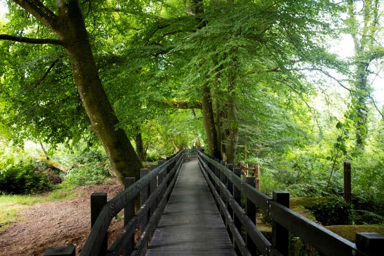 Randonnée au Lady Louisa's Walk