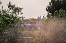 Mount of Olives Walking Tour