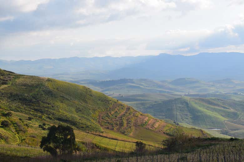 Vista de las campiñas que rodean Alcamo