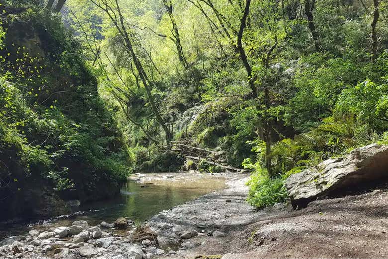 Paisaje del río del valle del Ferriere