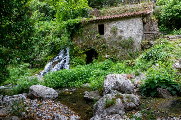 Excursion à l'Oasi WWF de Morigerati