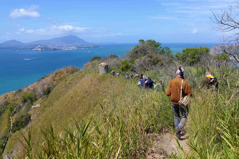 Hike along the Bird Sanctuary