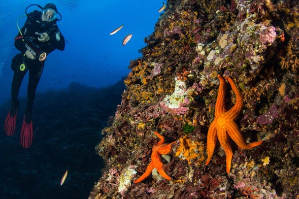 Bautismo de buceo en Bosa