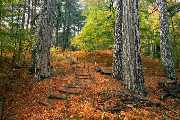 Sila National Park Hike