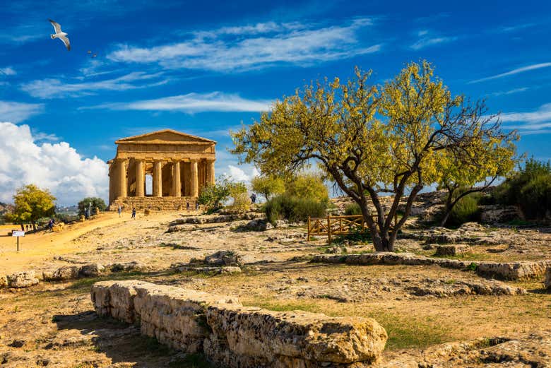 Valle dei Templi di Agrigento