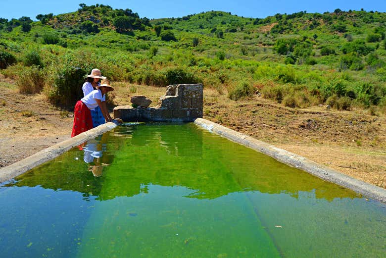 Admirando los paisajes de la región de Sicilia