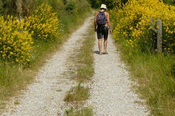 Excursion to the Resco Simontano River