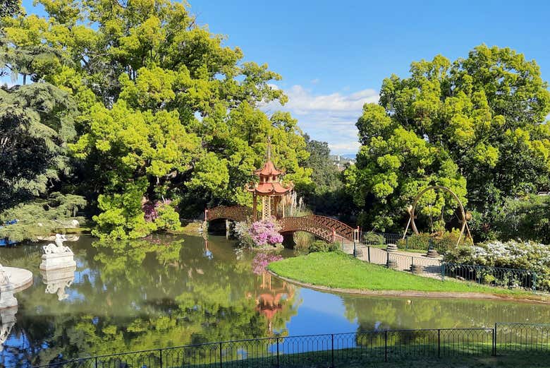 Stroll through the tranquil park