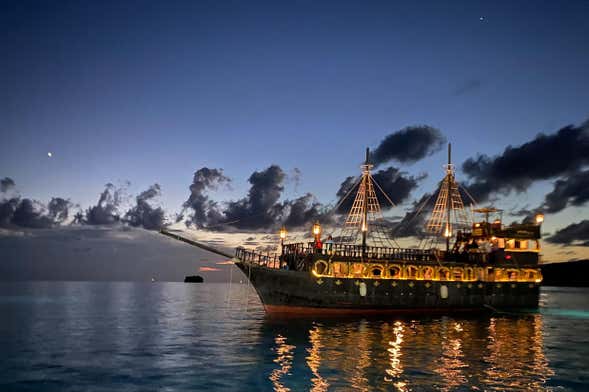 Avistamiento de delfines al atardecer