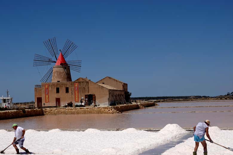 La recogida de la sal