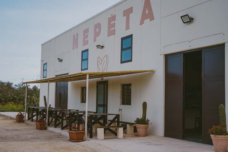 Visit the Casa Nepeta distillery