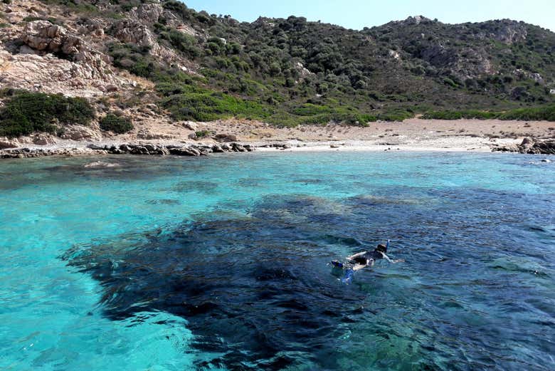 Snorkel in the stunning waters of Tavolara