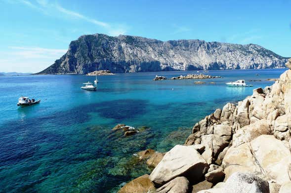 Snorkeling in the Tavolara Protected Marine Area