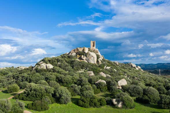 Tour arqueológico por Olbia