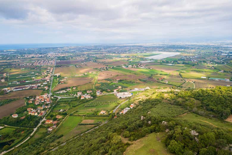 Learn about the elaboration process of this winery's wines