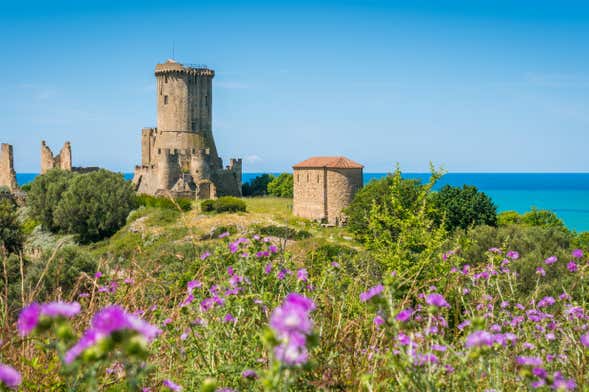 Velia Archaeological Park Excursion