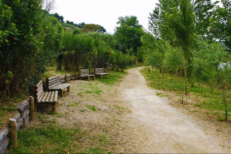 Sendero que bordea el lago 